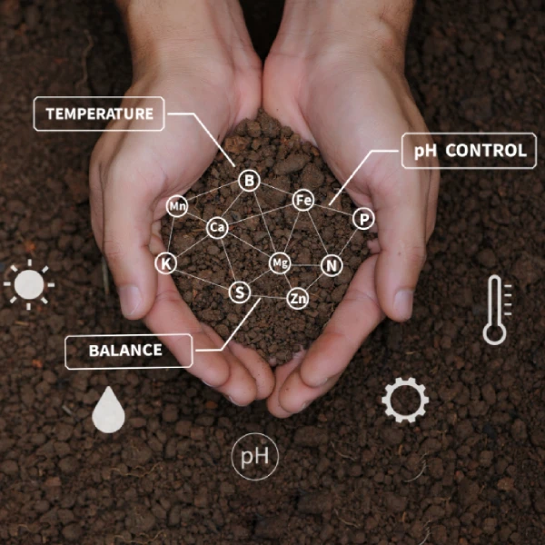 Fertigation Automation