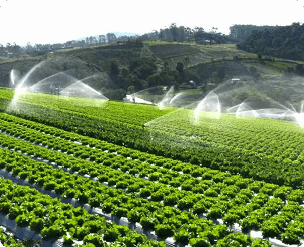 Volume Based Irrigation